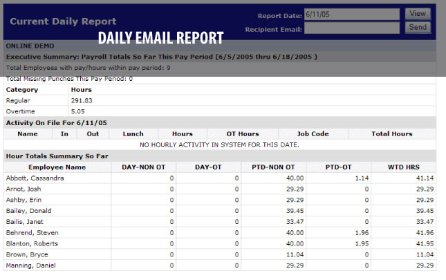 Daily time sheet email report